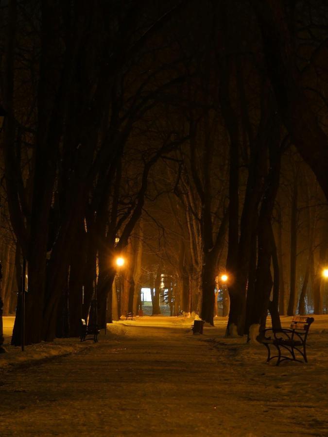 Dom Goscinny Orange Wysowa-Zdrój Quarto foto